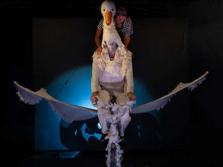 Spectacle - Le merveilleux voyage de Nils