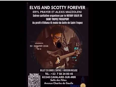 Concert Elvis