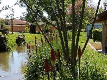 Campsite "La Chalaronne"