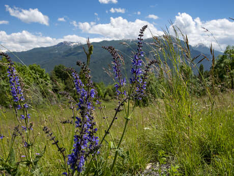On dirait le Sud… en gravel