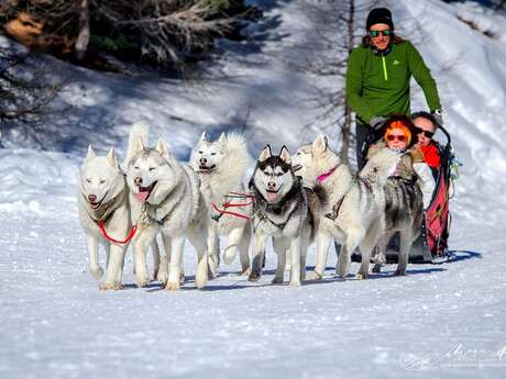 Traineau des Loups Blancs