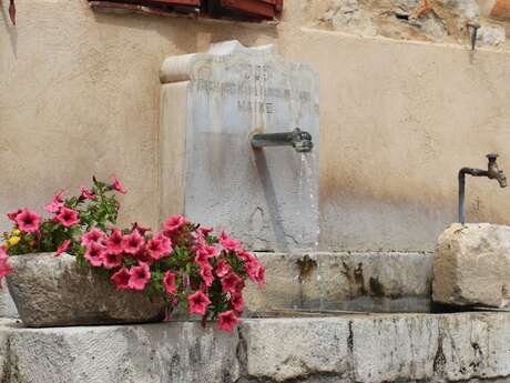 Fountain and washhouse