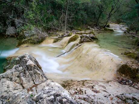 NANS-LES-PINS - Boucle des Sources de l'Huveaune