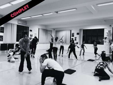 Masterclass  Compagnie Mickaël Le Mer