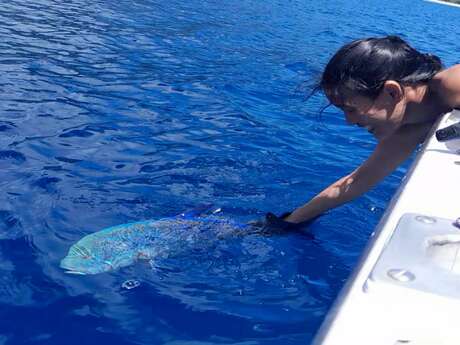 Moorea Sunrise Fishing