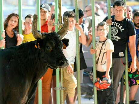 Anniversaire du Club Taurin La Candouillere