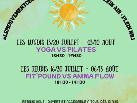 Fitpound VS Anima flow