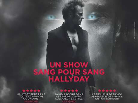 David Hallyday : Requiem pour un fou Le 8 nov 2025