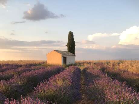 La petite campagne