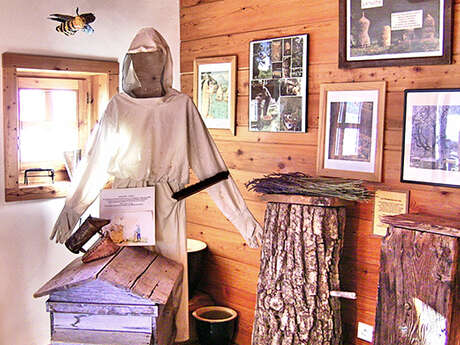 Découverte du monde des abeilles