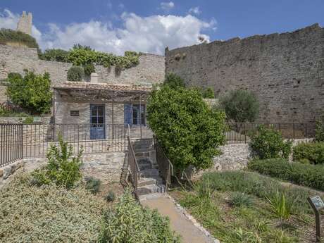 Jardin botanique des Vintimille