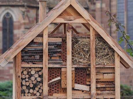 Construisons un hôtel cinq étoiles pour nos amis les insectes!