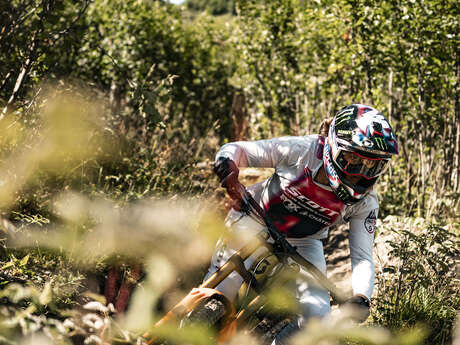 Coupe de France de VTT Descente (DH)