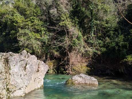 Les gorges de la Siagne - Espace Natura 2000