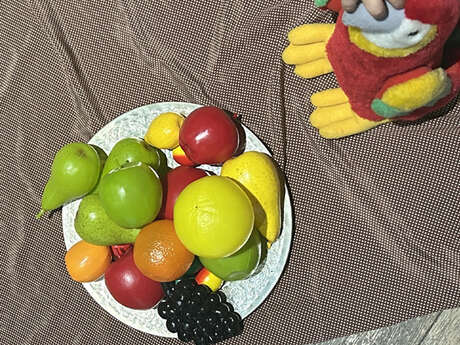 Visites animées en famille "Nature peinture !"