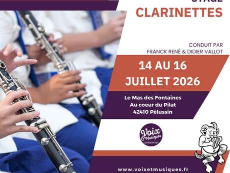 Stage de Clarinettes