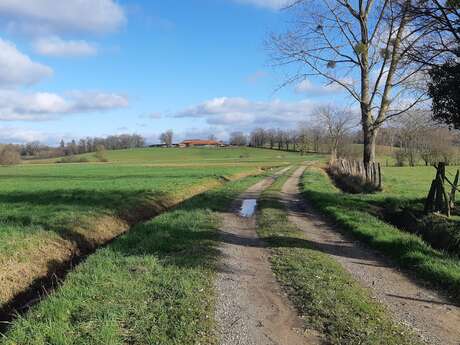 Beaupont - Etang Les Baisses (VTT)