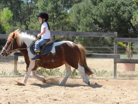 Pony ride from 18 months by the Moulin Moreau stables