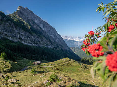 Itinéraire pédestre : Refuges de Bostan, Golèse et Folly, avec Lac des Chambres, depuis le village de Samoëns