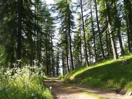 Boucle de la Cabane de l'Aiguille