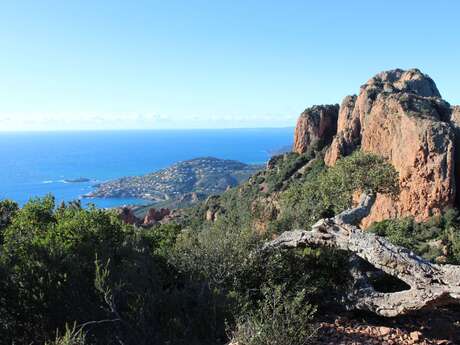 Randonnée : Le petit tour du Cap Roux