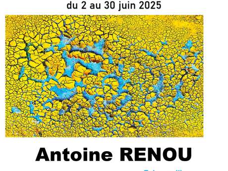 Exposition 1 mois / 1 artiste : Antoine Renou