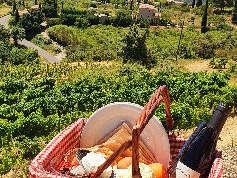 Panier champêtre - Domaine de la Ferme Saint Martin