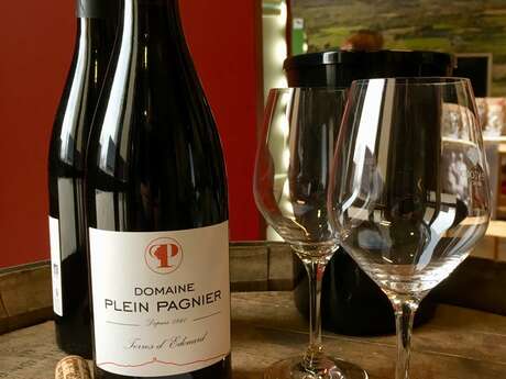 Dégustation vigneronne au Domaine Plein Pagnier