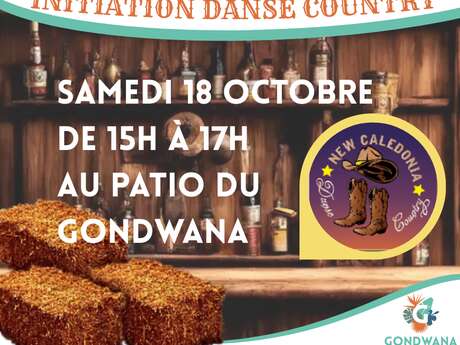 Initiation Danse Country