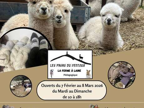 Vacances d'hiver aux Pagas du Ventoux