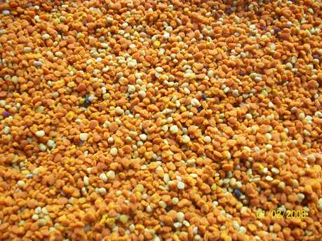 Vente directe au moulin à huile