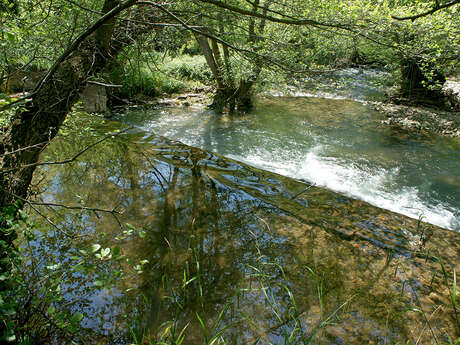 Rivière, Le Réal Martin