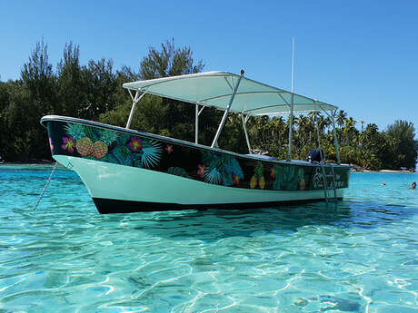 Enjoy Boat Tours Moorea - Whale watching tours