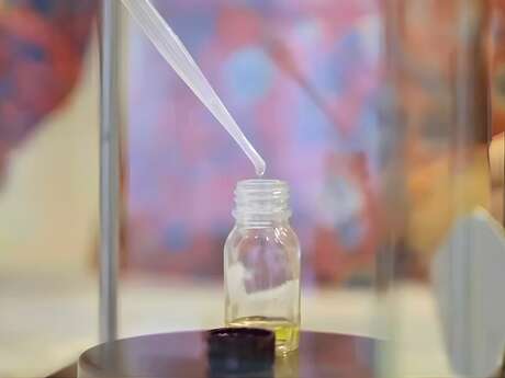 Grasse: Workshop in piccoli gruppi: Accordi di Rosa Centifolia con una profumiera creativa