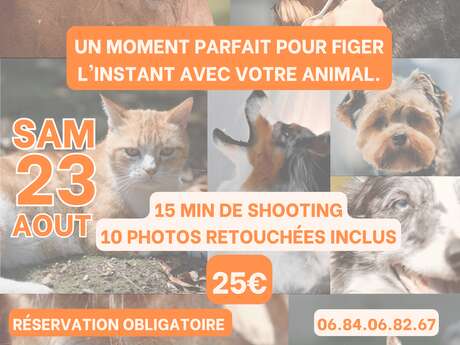 Shooting photo spécial animaux
