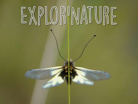 Explor'nature