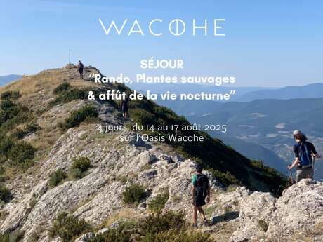 Hiking, Wild Plants & Nightlife Stay - Wacohe