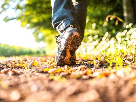 Randonnée pédestre "La Théline"