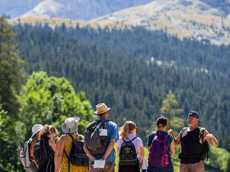 Sortie Natura 2000 "Flore de montagne"
