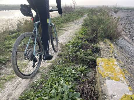 Sortie vélo à l'année par le Vélo club Ile de Ré