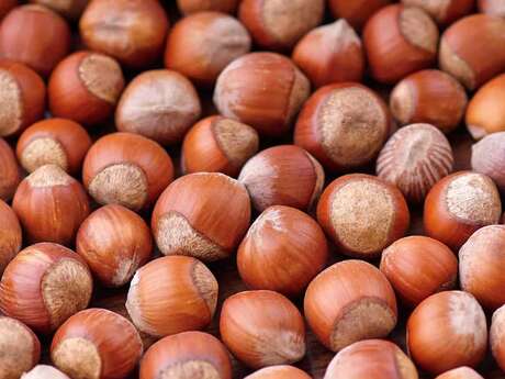 Fête de la Noisette : Valorisation de l'artisanat et des producteurs