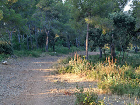 La Bandol Classic