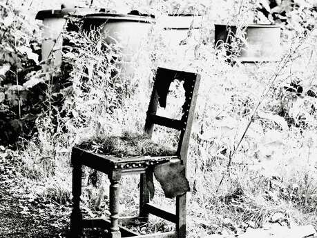 Electre des bas-fonds