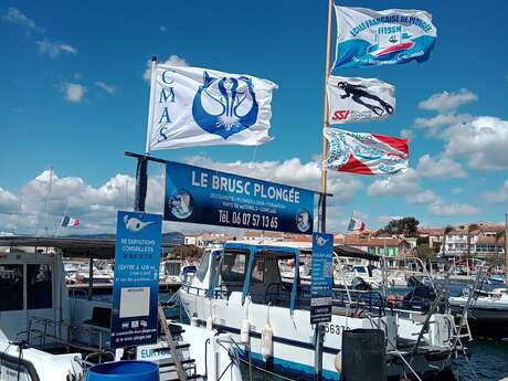 Le Brusc Plongée