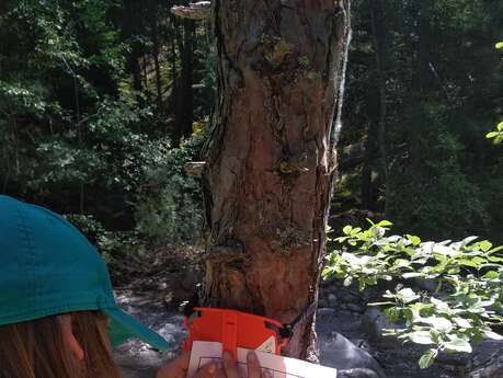 Atelier P'tits montagnards – Montagne Mélézin