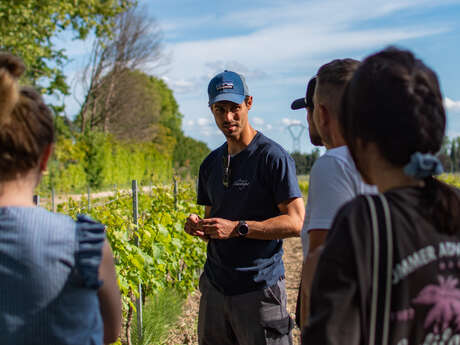 Cellar visit at Domaine de Chantegut