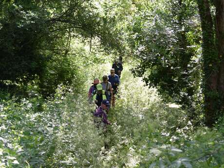 Marche pour les Restos du Cœur