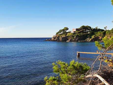 Nature tour in Giens, pirates plants and natural treasures