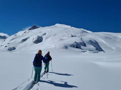 Splitboard