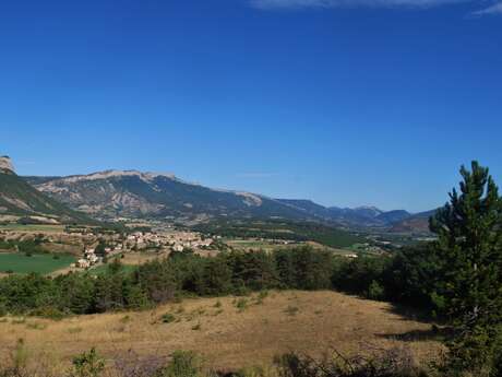 Plateau de Saléon (N°20)